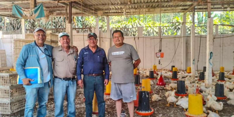 Apoyan a avicultores que buscan convertirse en proveedores de alimentos escolares