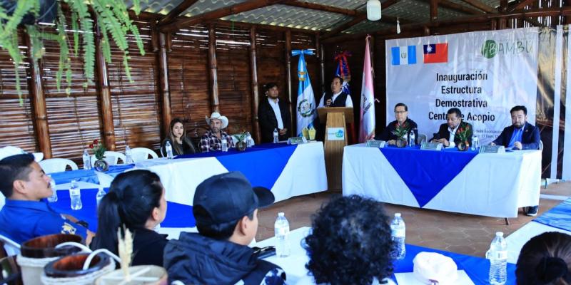 El uso del bambú en la agricultura