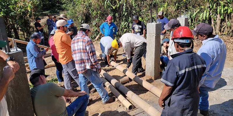 Enseñan a agricultores la utilidad del bambú en construcciones pecuarias