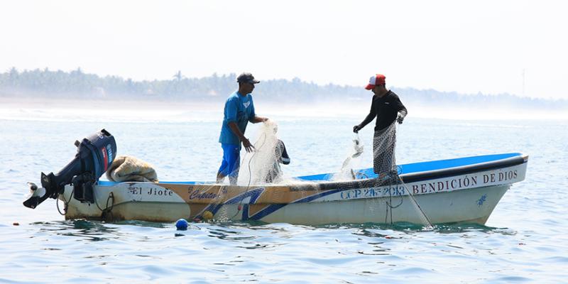 Establecen periodos de veda para el Caribe guatemalteco