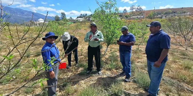 Incrementan conocimientos para proteger cultivos de melocotón