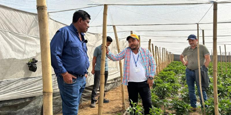MAGA promueve nuevos mercados para pequeños productores agrícolas