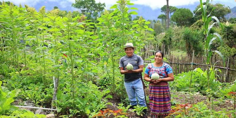 Optimizar la agricultura familiar es una prioridad