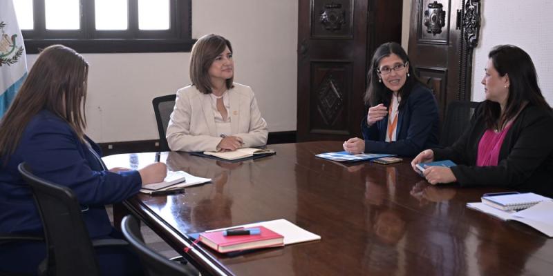 Presidenta en funciones Karin Herrera 