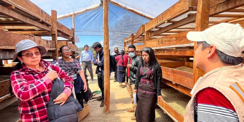 Productores de café intercambian experiencias para mejorar producción