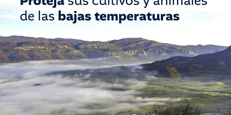 Proteja sus cultivos y animales de las bajas temperaturas