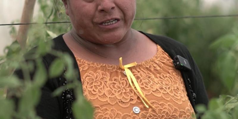 Agricultoras de San Antonio Palopó son ejemplo de trabajo