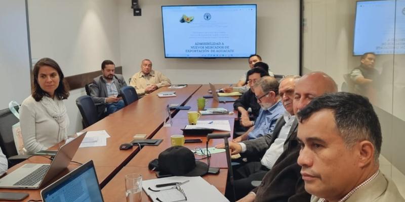 Analizan impulso de la Agrocadena de Aguacate para que ingrese a nuevos mercados de exportación