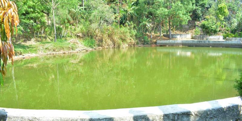 Aproveche las lluvias para captación de agua