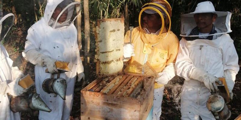 Capacitan a productores de miel en Petén 