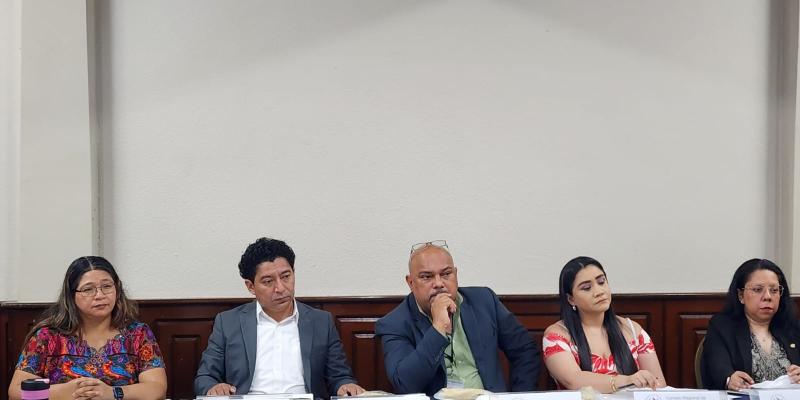 Comisión de la Mujer del CONADUR conoce resultados de ENCABIH