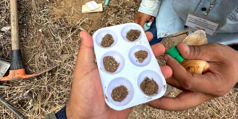 Conocer composición de suelos permite saber qué sembrar