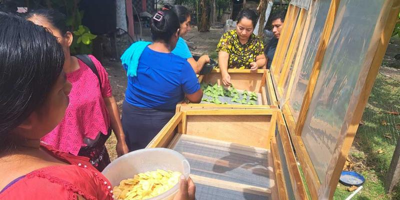 Deshidratación de Alimentos impulsará economía en Petén