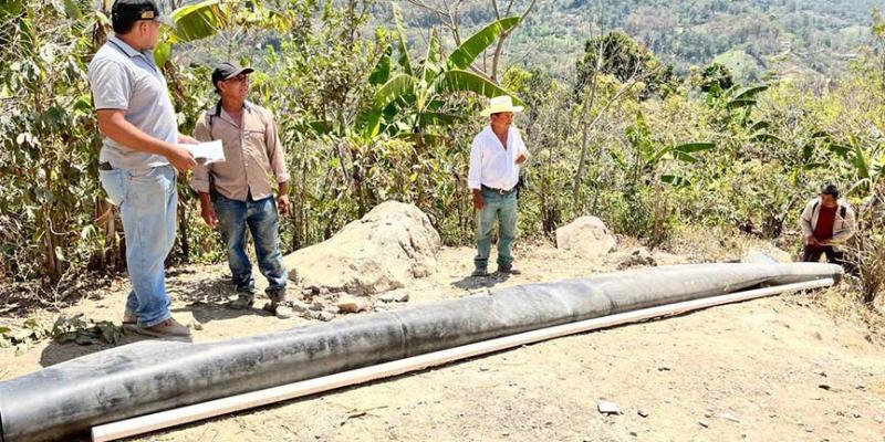 Elaboran estanques para el cultivo de tilapia