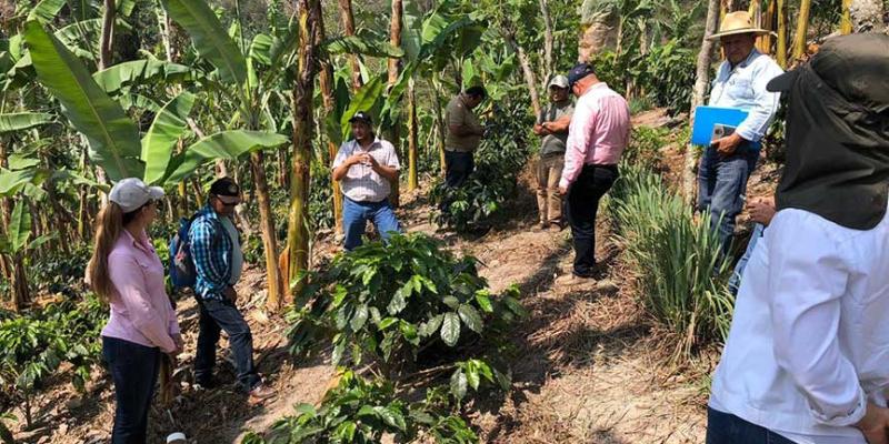 Enseñan prácticas de conservación de suelos en el corredor seco