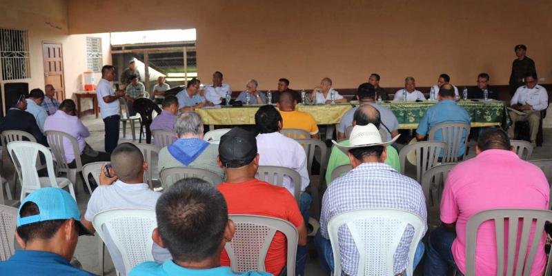 Erradicarán plaga de hormiga loca en Petén