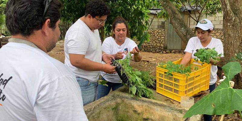 Huertos familiares mejoran alimentación de familias de Petén