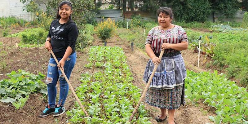 Los huertos son claves para el sustento familiar 