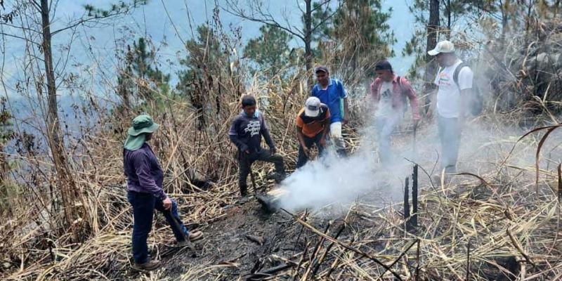 Monitorean cultivos luego de incendio en Cerro Belenju