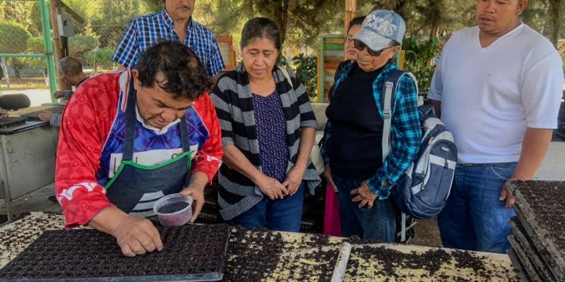 Mujeres de Villa Nueva aplican buenas prácticas de agricultura en huerto comunal