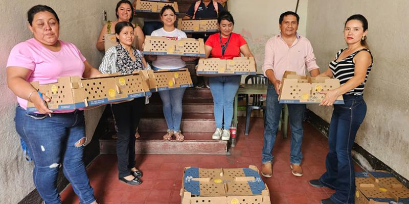 Prácticas avícolas fortalecen la economía de 100 familias