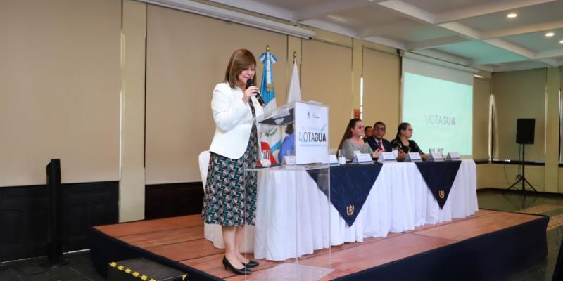 Vicepresidenta Karin Herrera