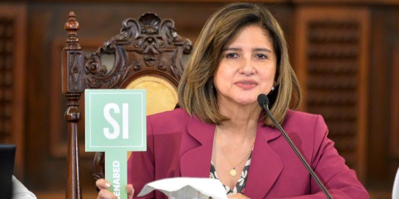 Karin Herrera, Vicepresidenta