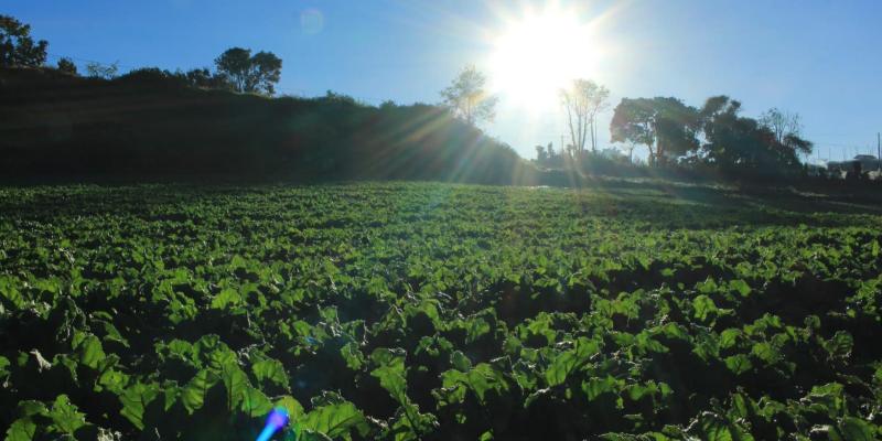 Altas temperaturas y lluvia marcan primera semana de abril
