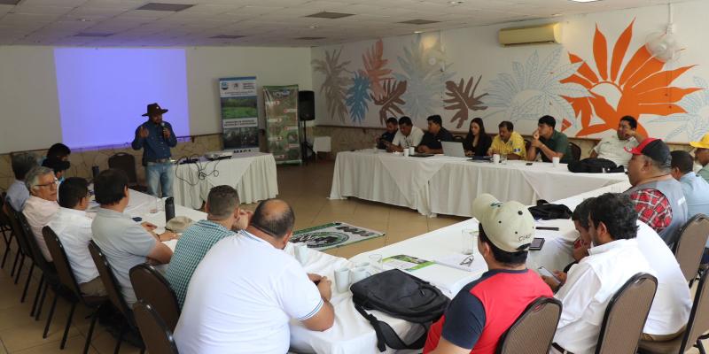 Fomentan ganadería sostenible en Petén