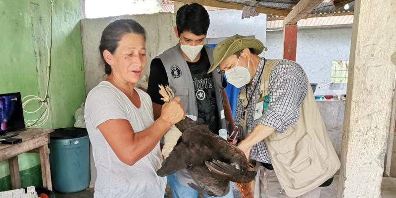 Guatemala fortalecerá acciones preventivas para evitar gripe aviar