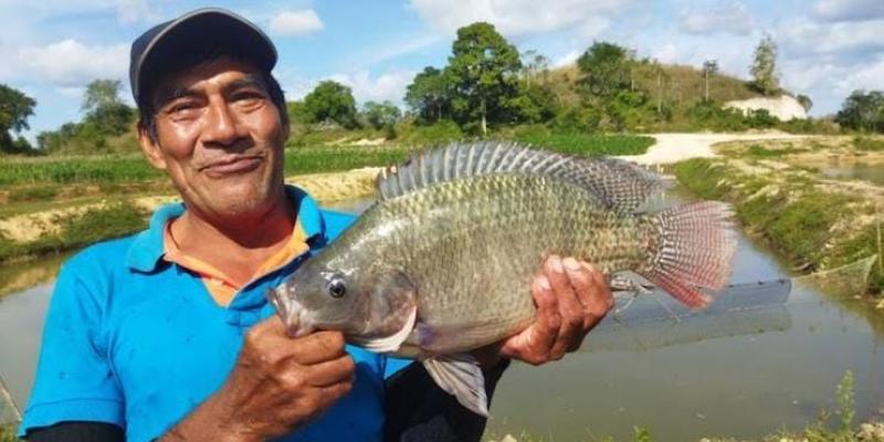 Impulsan crecimiento de la acuicultura en Petén