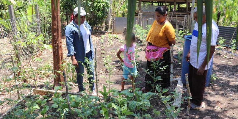 Más familias elaboran huertos familiares en Poptún