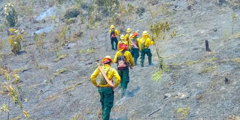 Monitorean y combaten 12 incendios forestales en Petén
