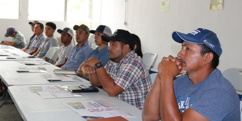 Productores de ganado bovino de Petén son capacitados en buenas prácticas