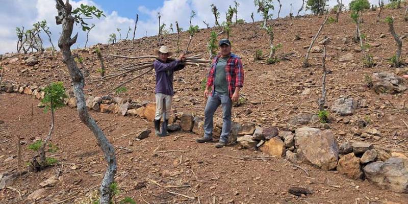 Promueven la conservación de suelos en Zacapa para mejorar la productividad agrícola