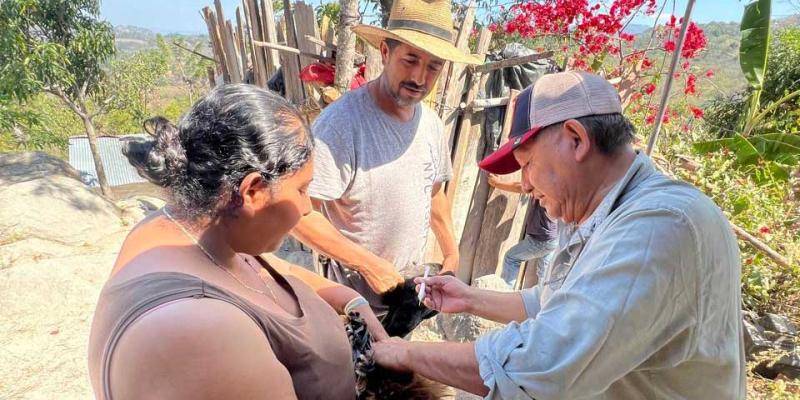 Promueven prácticas saludables en la avicultura familiar en Chiquimula