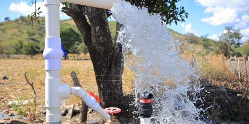 Sistemas de riego en el país son fundamentales en la agricultura