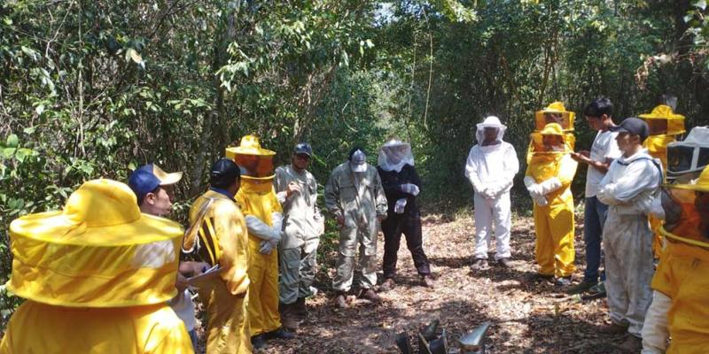 Fortalecen capacidades en Apicultura Tropical en Petén