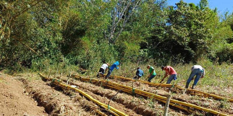 Promueven huertos pedagógicos en La Unión, Zacapa