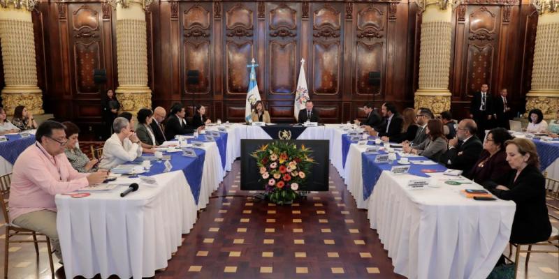 Vicepresidenta Karin Herrera