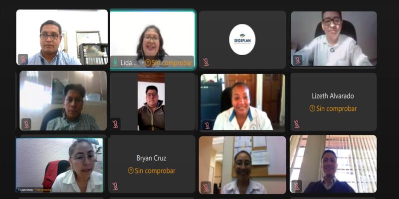 Sesión de trabajo virtual. 