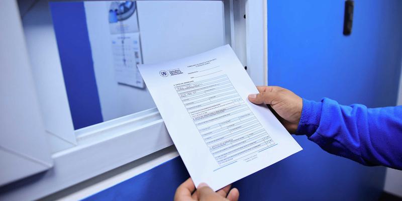 Conozca como realizar una denuncia por maltrato o crueldad animal