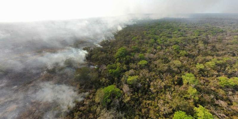 Nueve incendios forestales activos son atendidos en Petén
