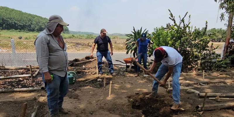 Palo Gordo apuesta por la producción de árboles frutales y forestales