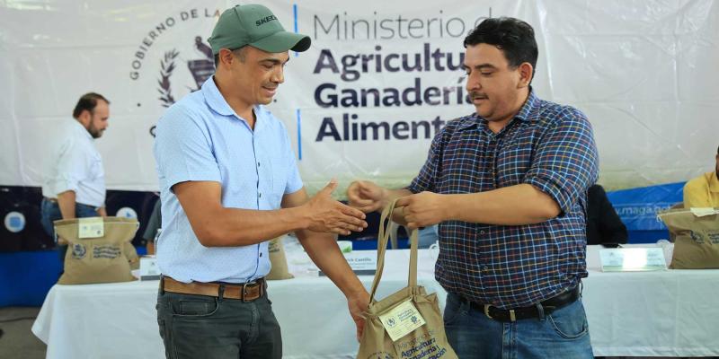 Caficultores reciben semillas resistentes a la roya