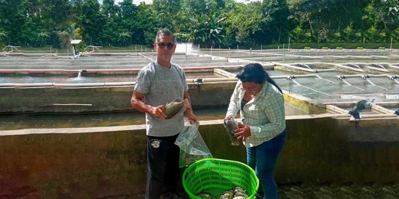 Capacitaciones sobre acuicultura en Petén buscan fortalecer la red de productores y productoras 