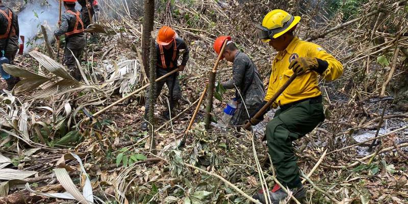 Combatientes de incendios forestales, guardianes de la biodiversidad