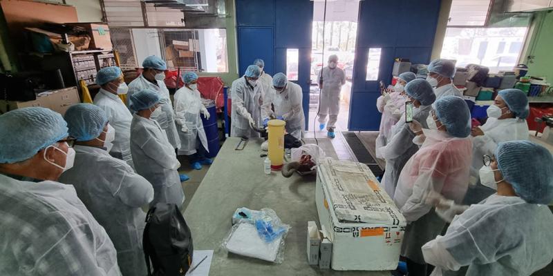 Desarrollan taller para detección de rabia bovina