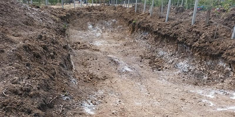Enseñan a construir estanques para cultivo de tilapia
