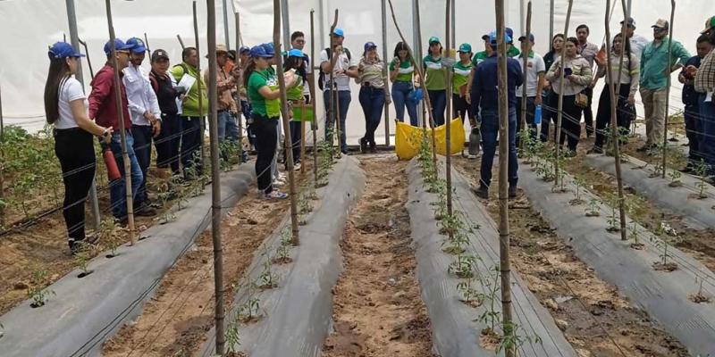 Innovación hortícola llega a Estanzuela, Zacapa